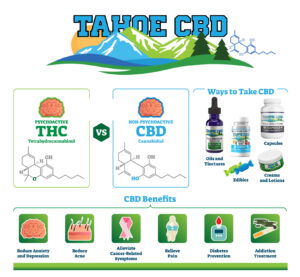 Tahoe CBD Chart